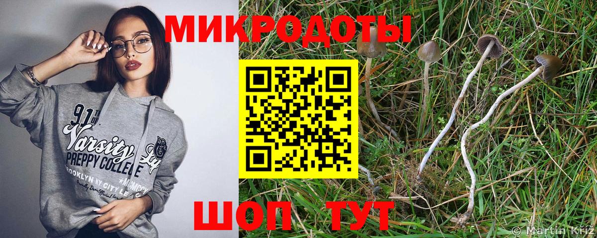 Псилоцибиновые грибы Cubensis Зеленогорск